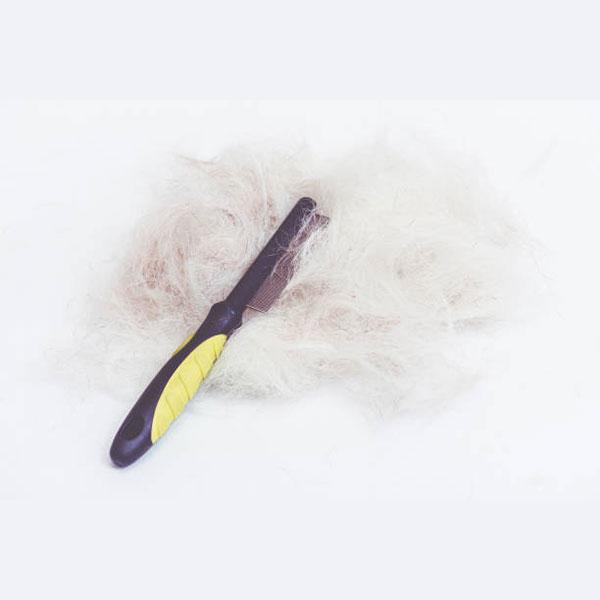 pets hair cutter