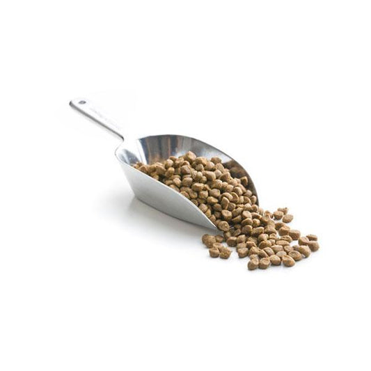 Steel Shovel